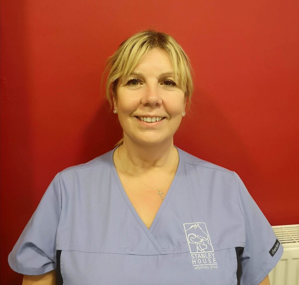 Glenys-Frost-Stock-Controller