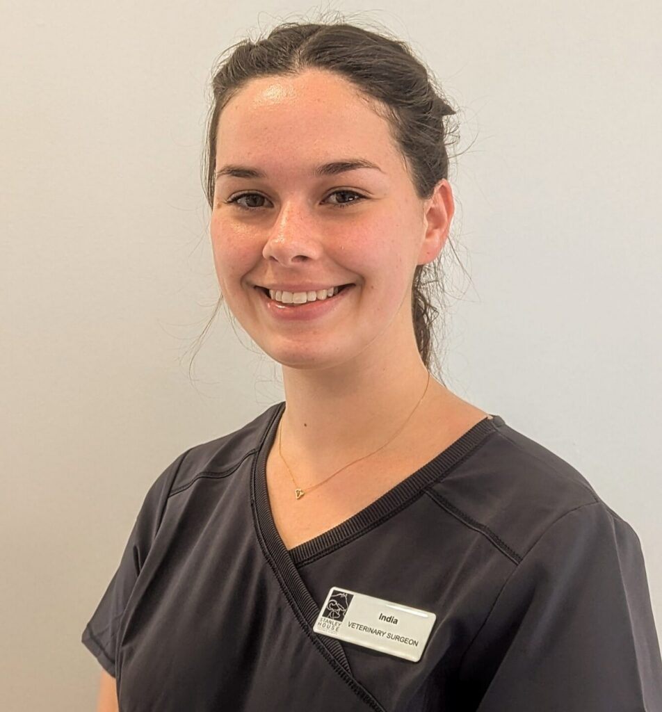 India-Law-SA-Vet-scaled-meet the team