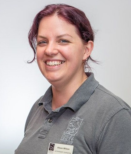 SH-Alison-Wilson-Web-meet the team