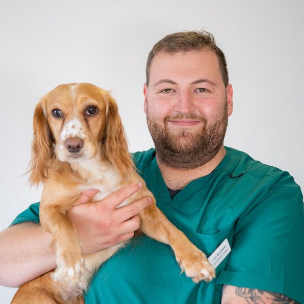 SH-Joe-Bromfield-Web