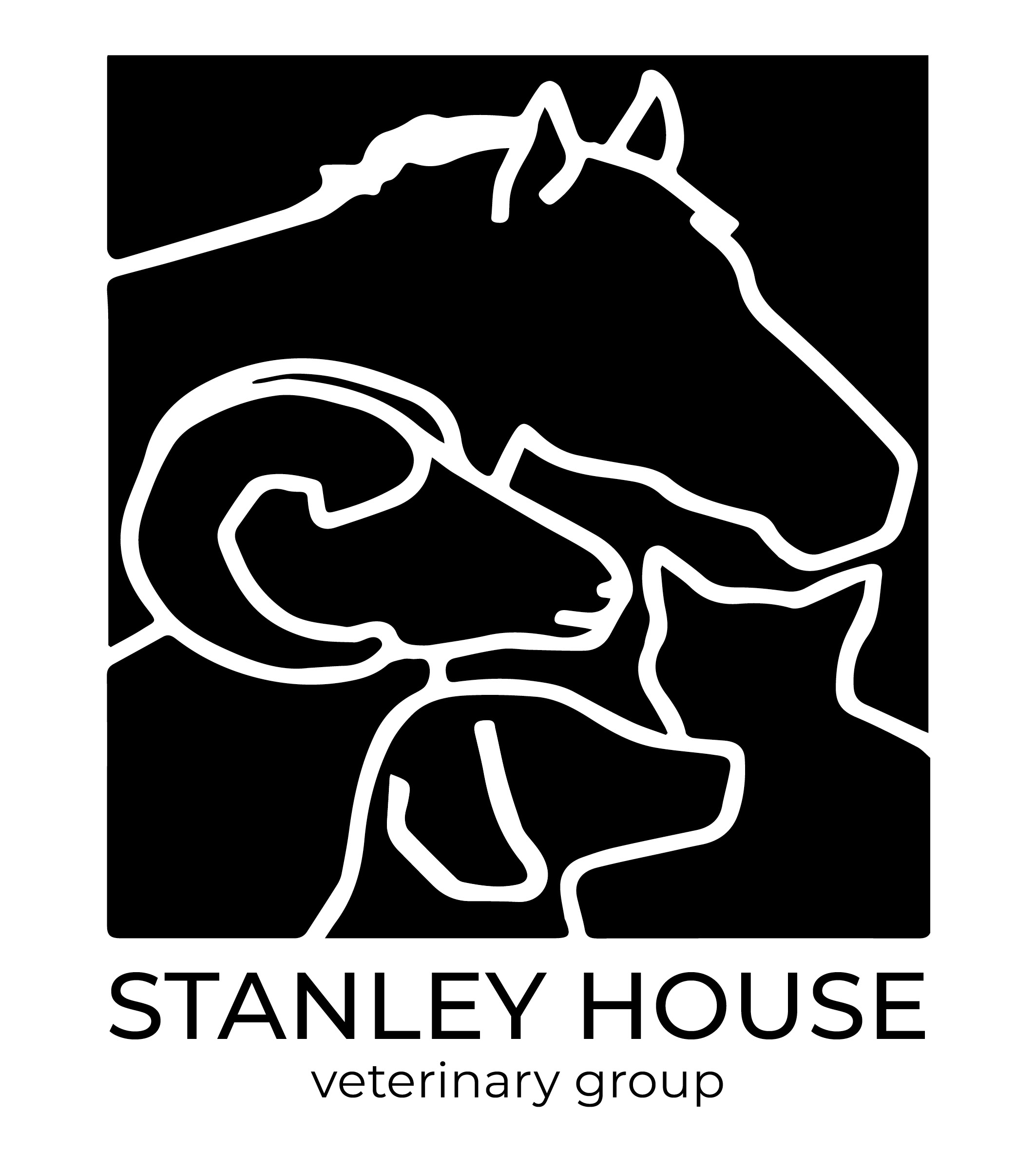 Stanley House Vets
