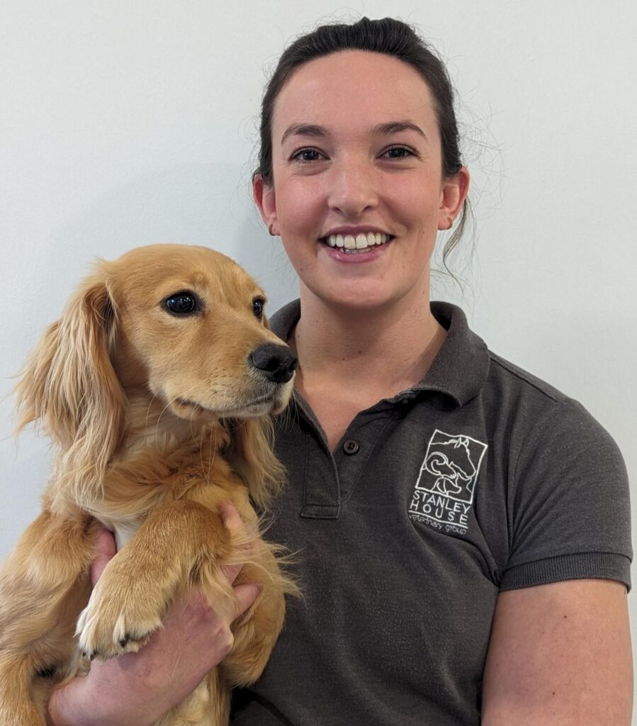 Kate-Brandist-Website-photo-scaled-meet the team