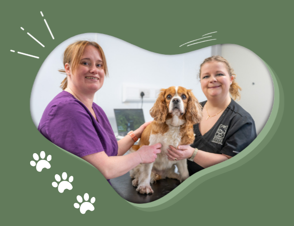 Your paragraph text (14)