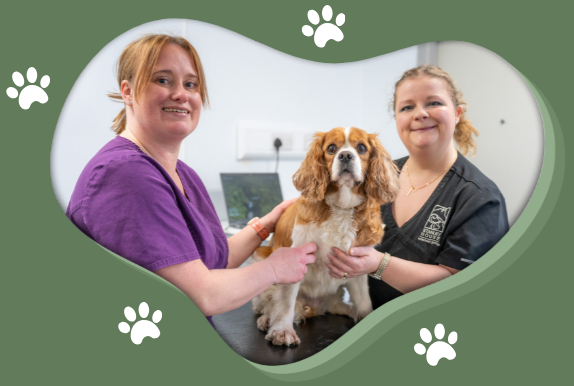 Your paragraph text (8)