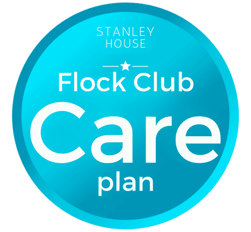flock club 