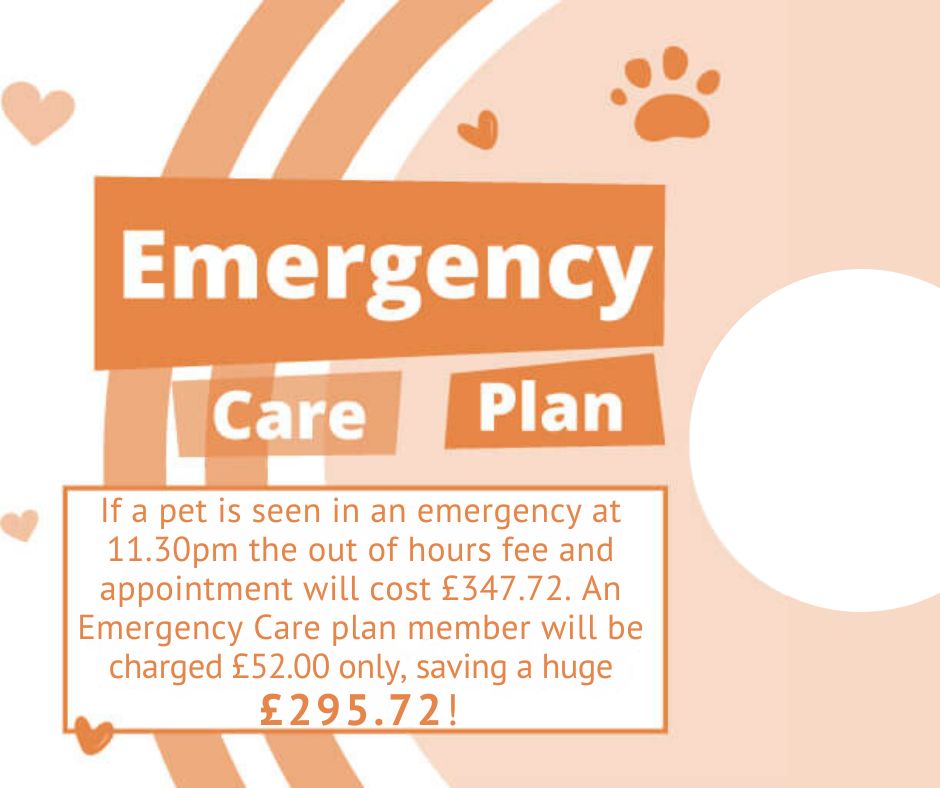 Pet_emergency_2